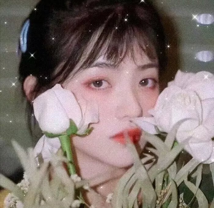 风流总统